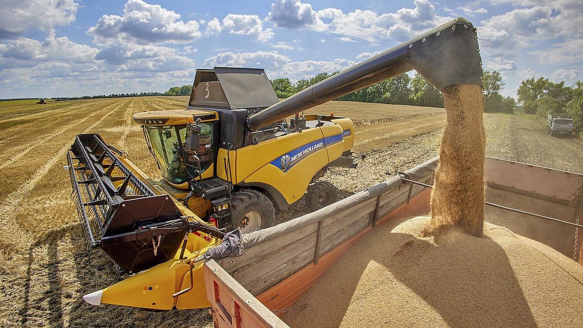 Uriașa miză agricolă din Ucraina 