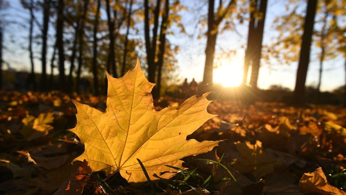Prognoza METEO. Cum va fi vremea în următoarele 4 săptămâni. ANM anunță temperaturi peste normalul perioadei