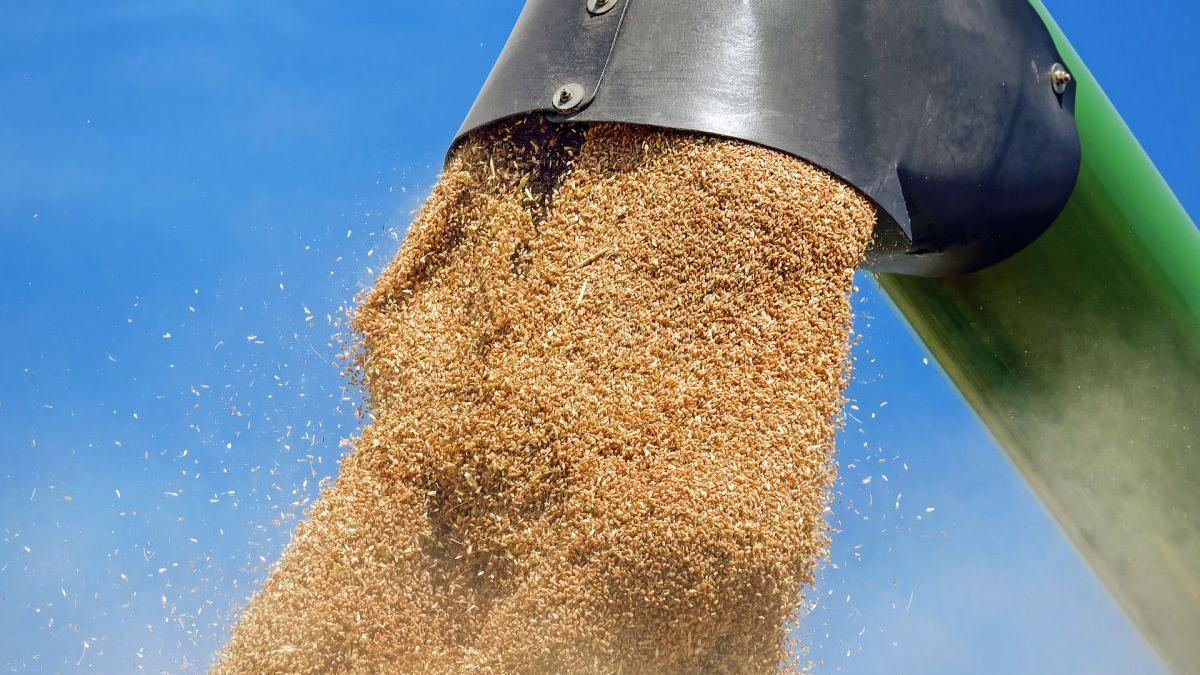 Criza cerealelor din Ucraina: Rutele de export prin România și Polonia revin în atenția lumii!