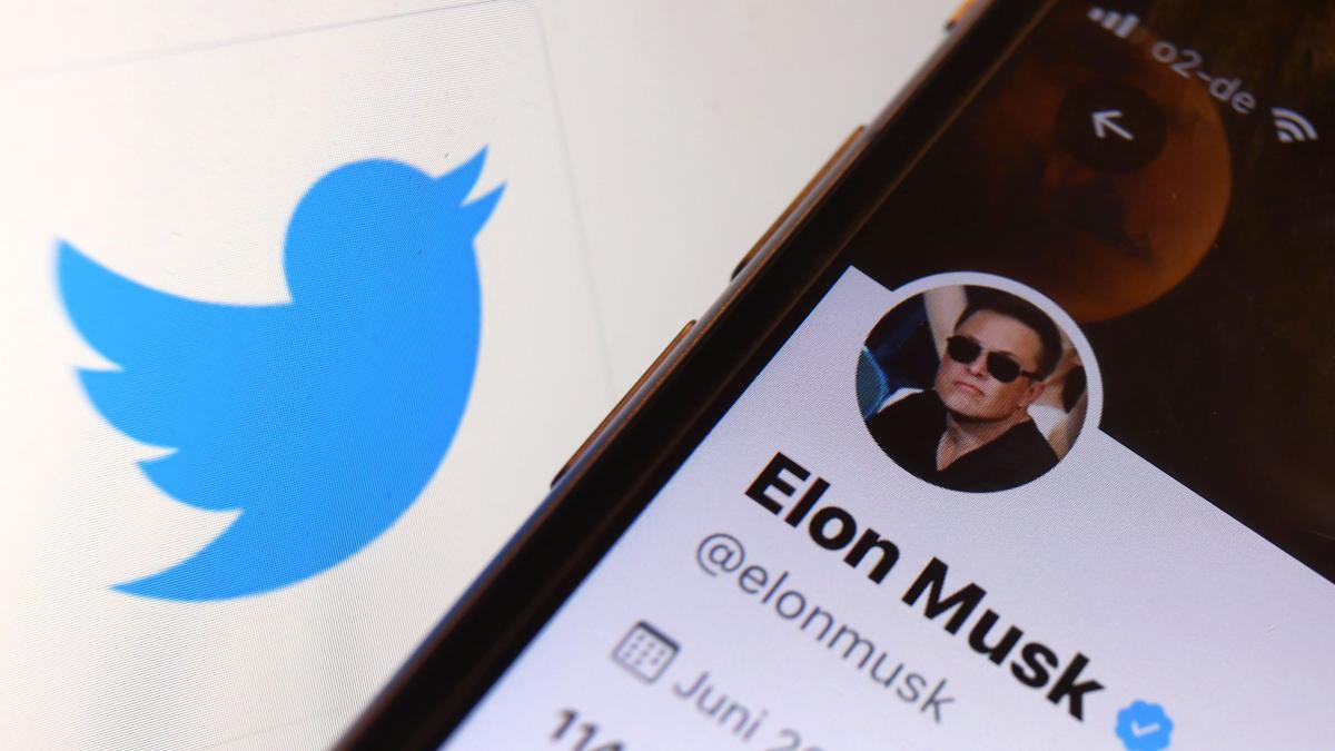 ONU îi cere lui Elon Musk să susţină respectarea drepturilor omului pe Twitter