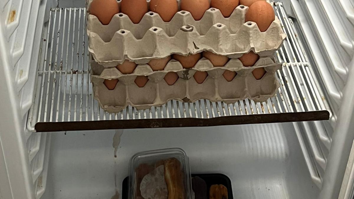 Produse expirate prin care mișunau gândacii, găsite într-un restaurant din Constanța