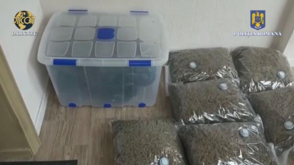 trafic droguri cocaina flagrant arest