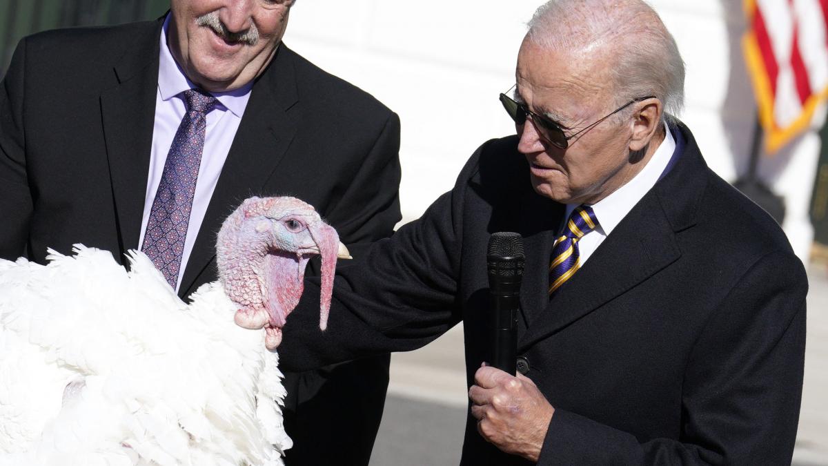 Preşedintele Joe Biden a graţiat doi curcani, pe Chocolate și Chip