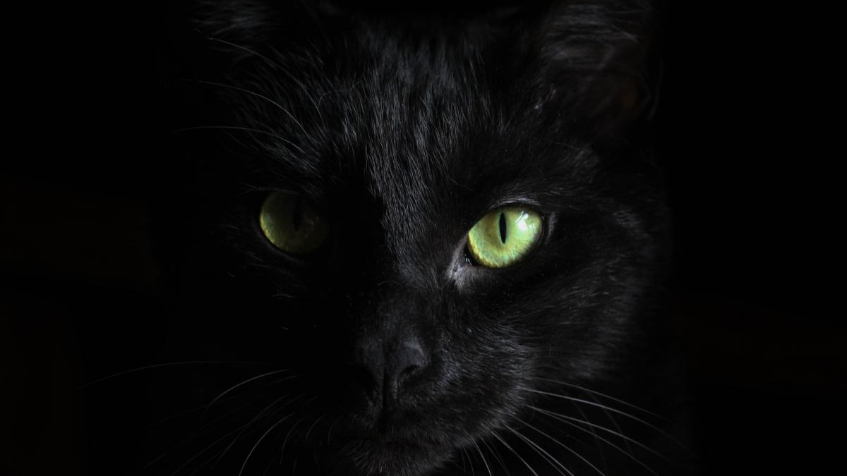 cele mai ciudate superstitii in randul jucatorilor de cazino