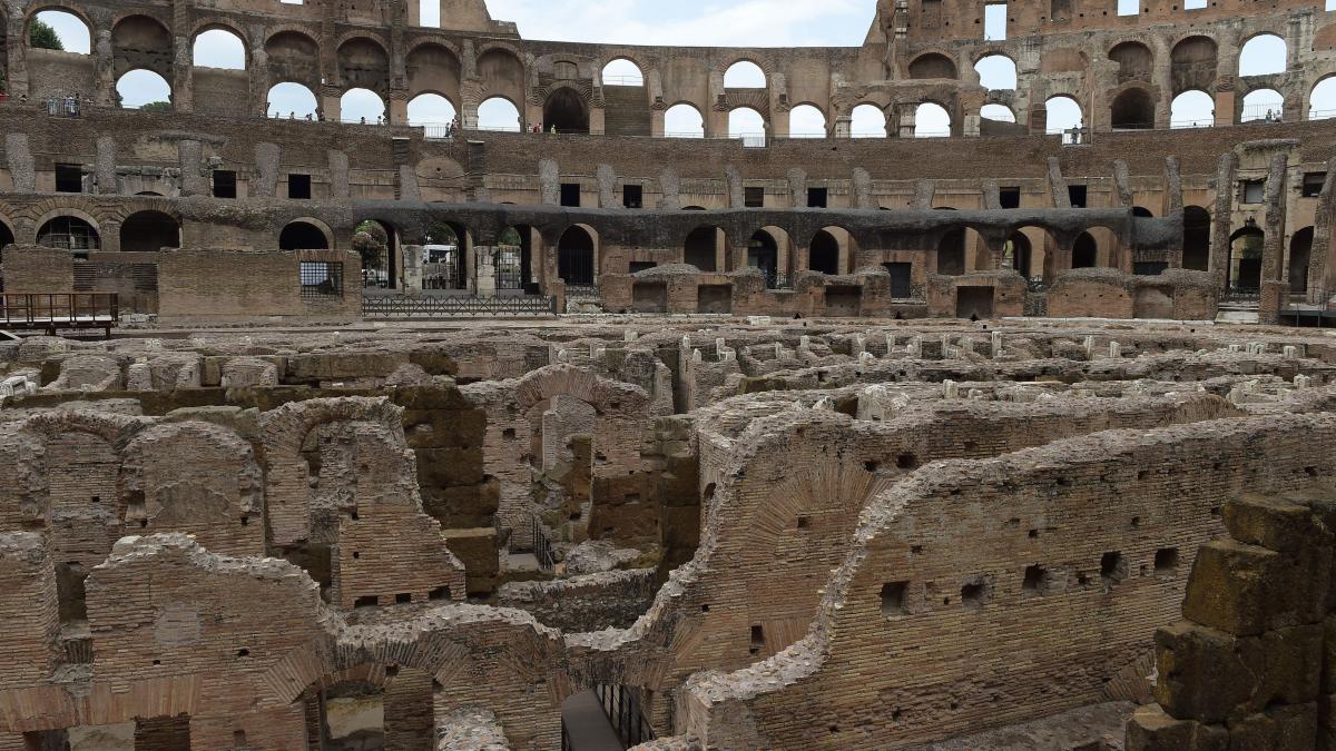 Olive, frutta e noci di epoca romana, scoperte dagli archeologi al Colosseo