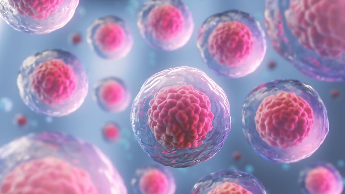 Lupta împotriva cancerului ajunge în era digitalizării