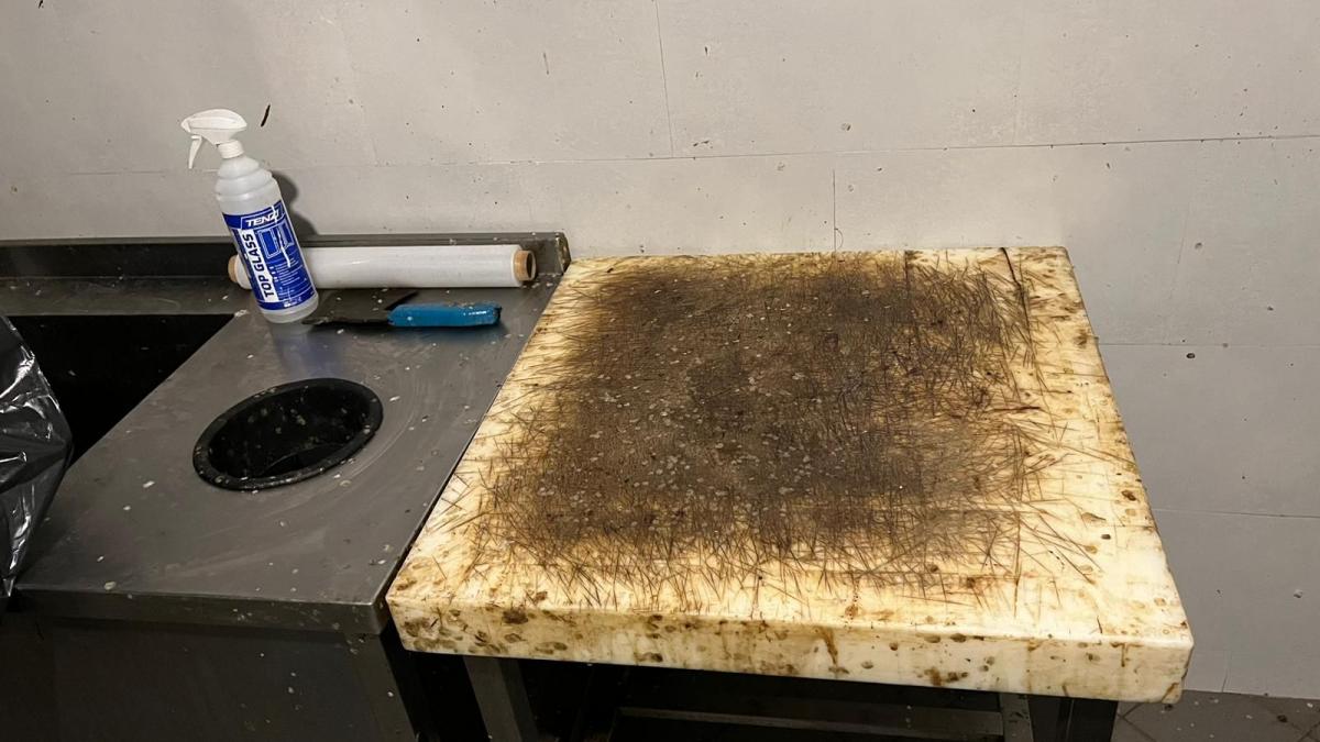 alimente mucegaite expirate din 2019 muste mizerie miros intepator si excremente de animale la un restaurant din vadu