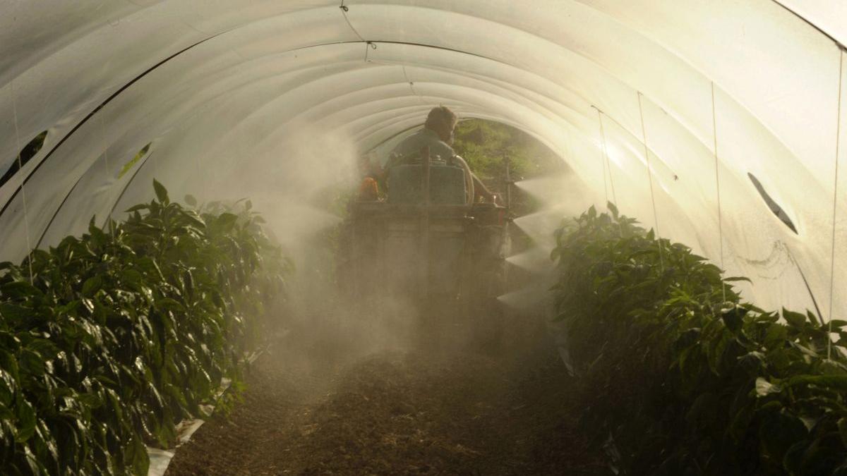 Sprijinirea producătorilor agricoli, legea care expiră fără să fi fost aplicată
