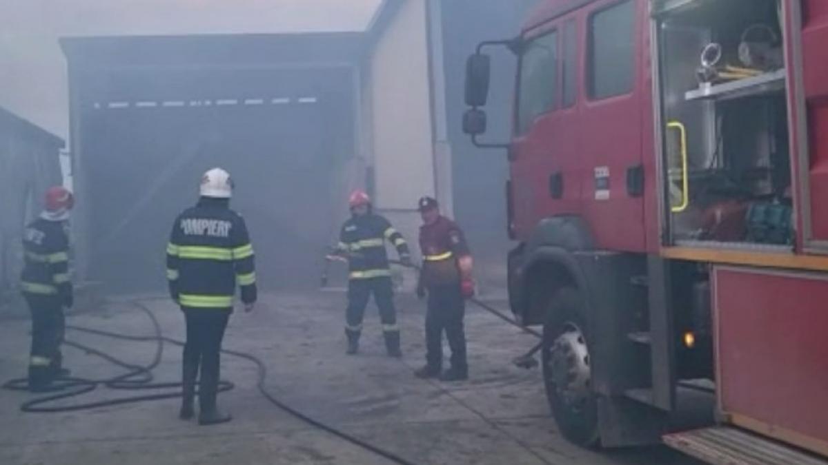 incendiu ferma avicola satu mare