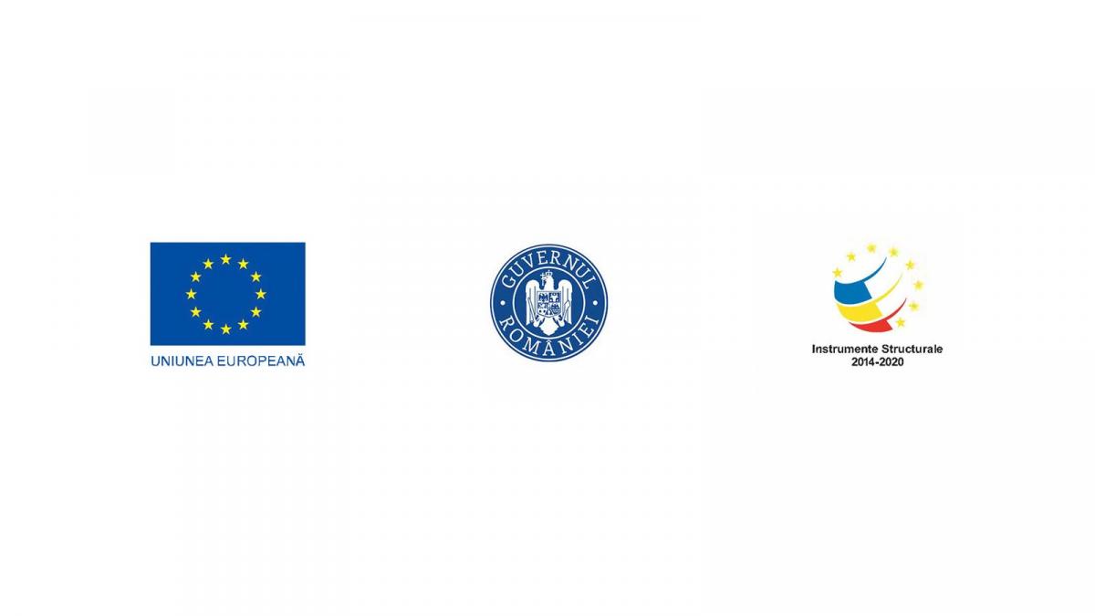 Poliția Română lansează Campania de Educație Rutieră vizând neatenția la volan