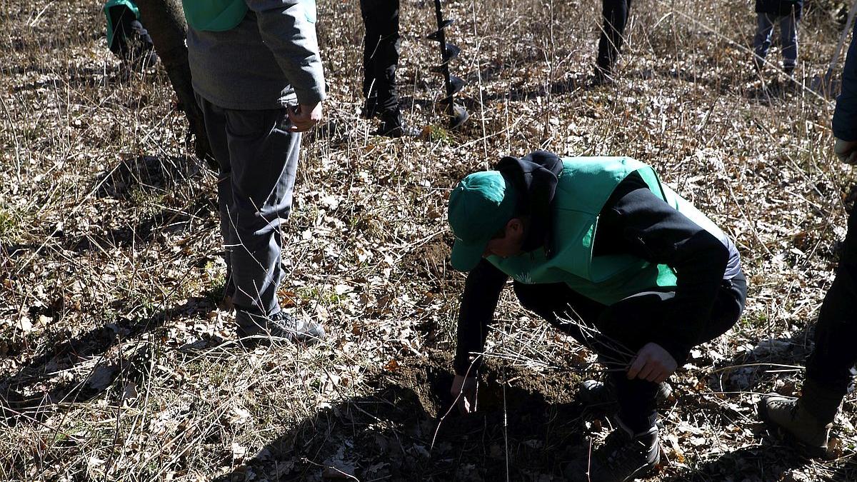 UE ne dă o mână de ajutor pentru a opri defrișările ilegale. Produsele provenite din această activitate intră pe lista neagră 