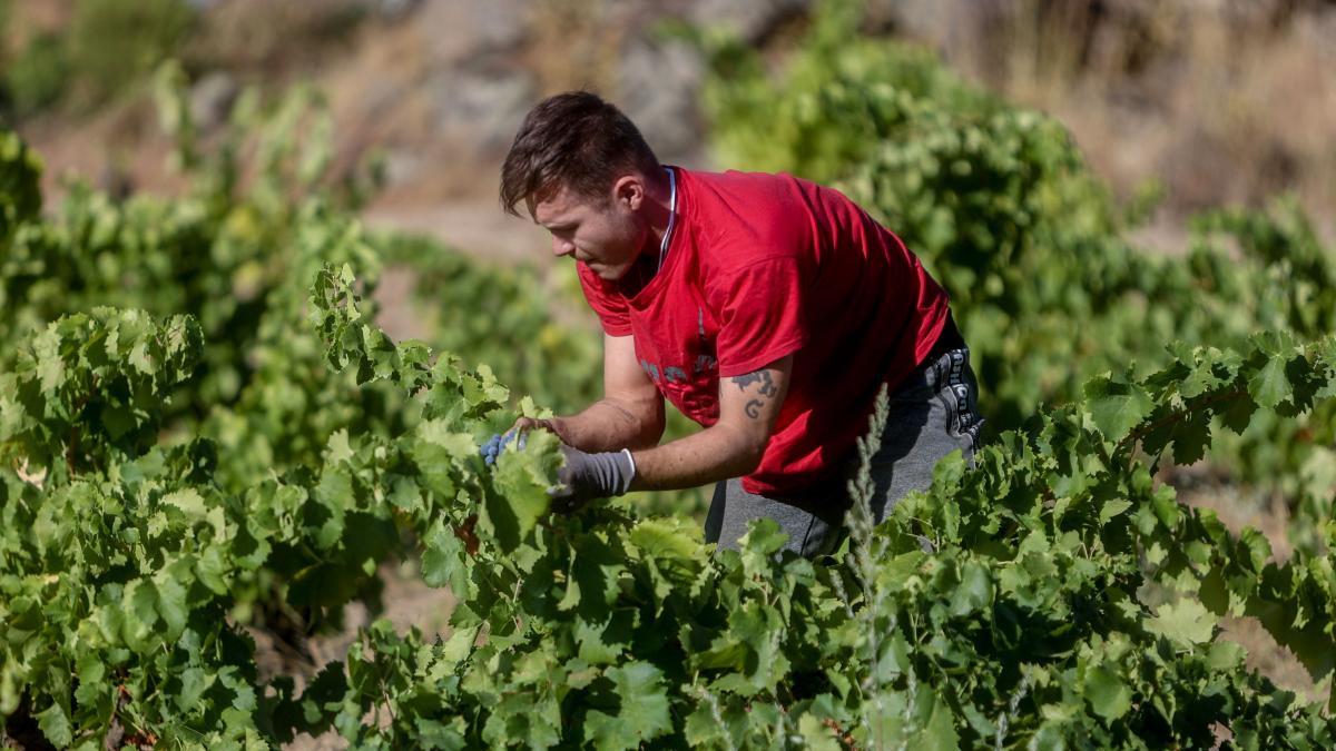Un fermier francez a primit 11.000 de euro pentru că a inhalat un pesticid