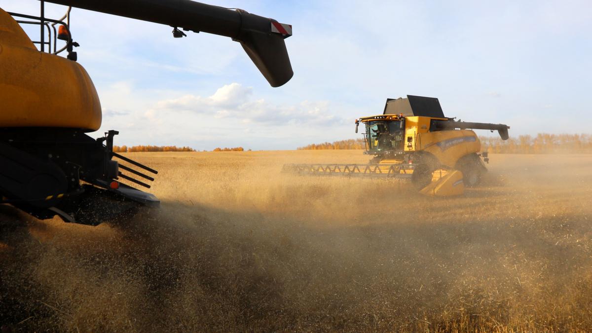 Avertisment: Mulţi fermieri sunt în faliment fără să ştie. Tot rostogolim pierderile