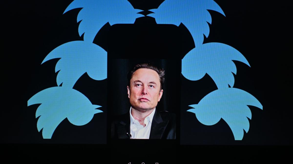 Ce spune Elon Musk despre relația cu frații Tate