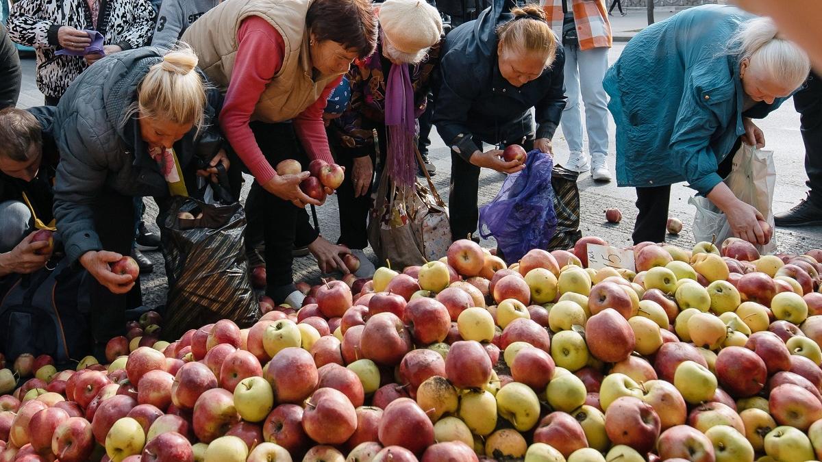 Unu din zece mere, cel mai consumat fruct de către români, vine din Polonia