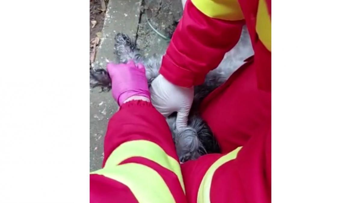 Fiecare viață salvată contează! Micuțul Rio a fost resuscitat de paramedici