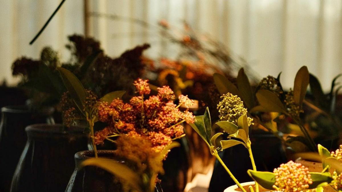 Cel mai apreciat restaurant din lume se închide: „Trebuie să regândim industria. Este pur şi simplu prea greu" 