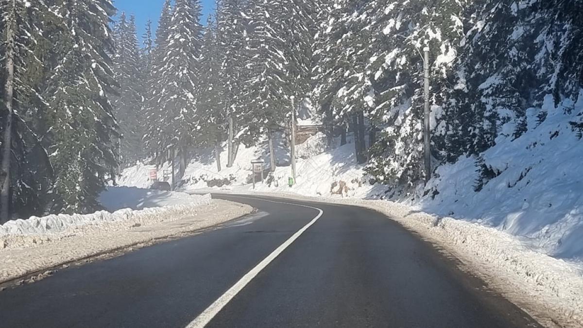 Ninge la Rânca!