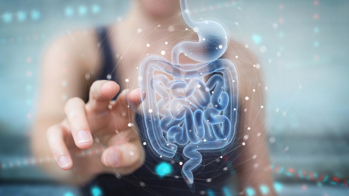 10 întrebări frecvente despre probiotice