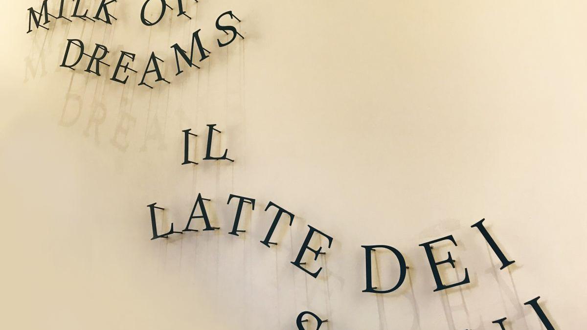 Scemtovici &amp; Benowitz Gallery invită iubitorii de artă la prima întâlnire din programul InsideArt: „Bienala de Artă de la Veneția, a 59-a ediție – Artiști români în context internațional”