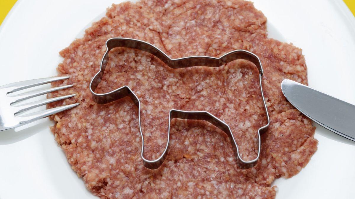 Carnea făcută în epubretă, „OK” de la Uniunea Europeană. „De acord cu alimentele cultivate în laborator, atât timp cât respectă standardele noastre nutriționale”