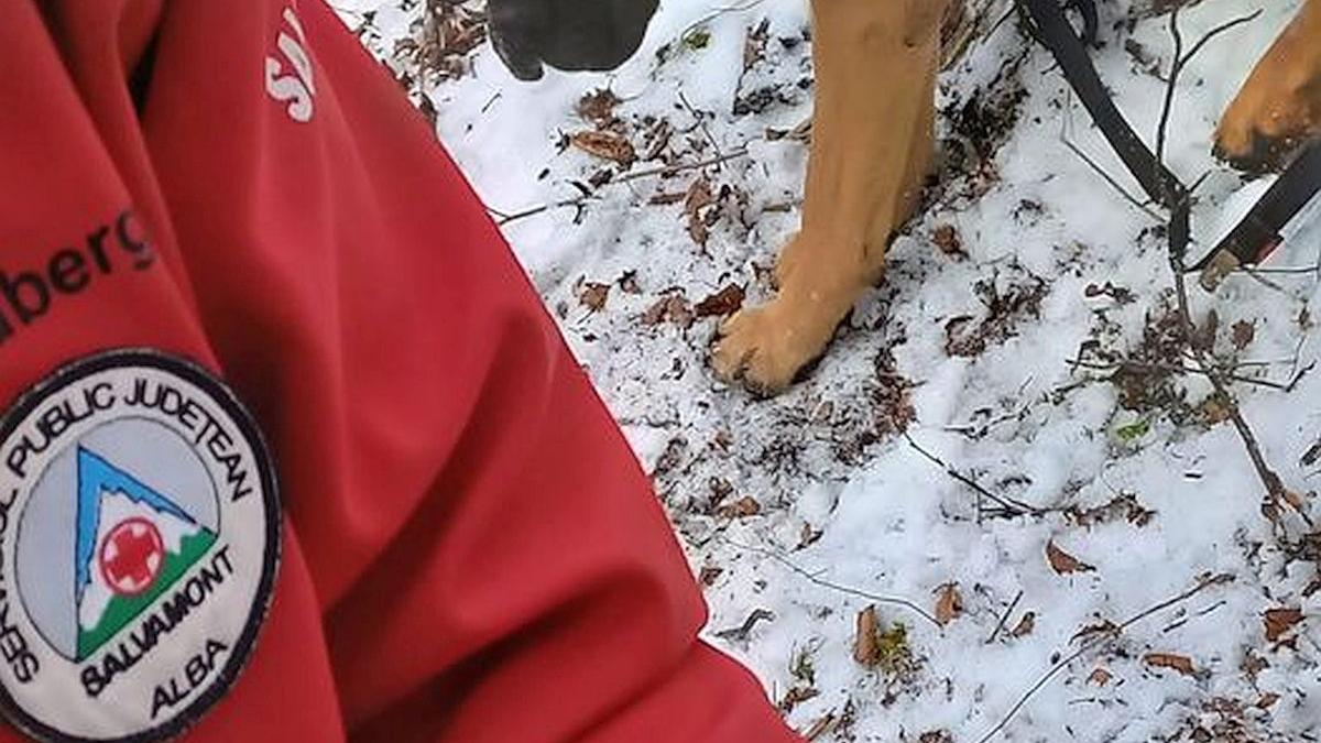 Salvamontiștii, chemați să salveze un câine Cane Corso speriat, agitat și agresiv