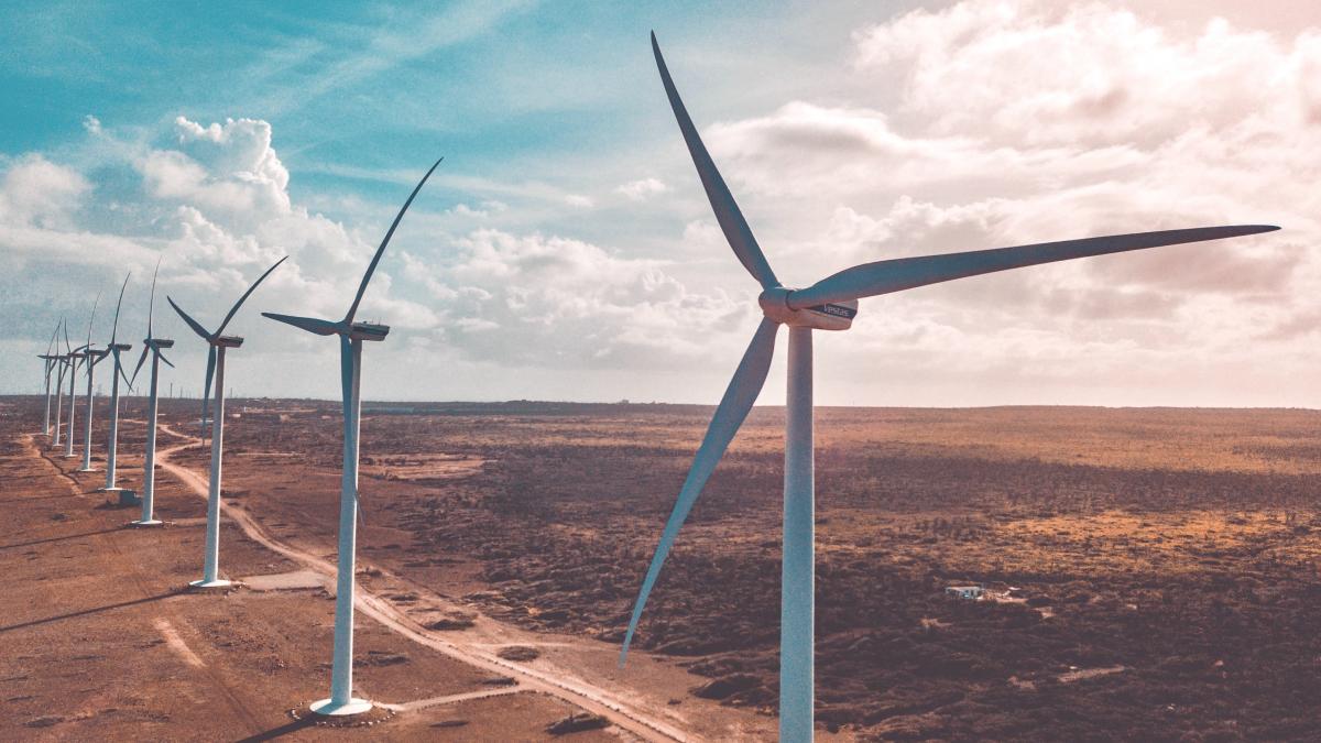 Transelectrica: În eolian, de peste doi ani nu s-a mai instalat nimic. România realizează multe proiecte pe hârtie