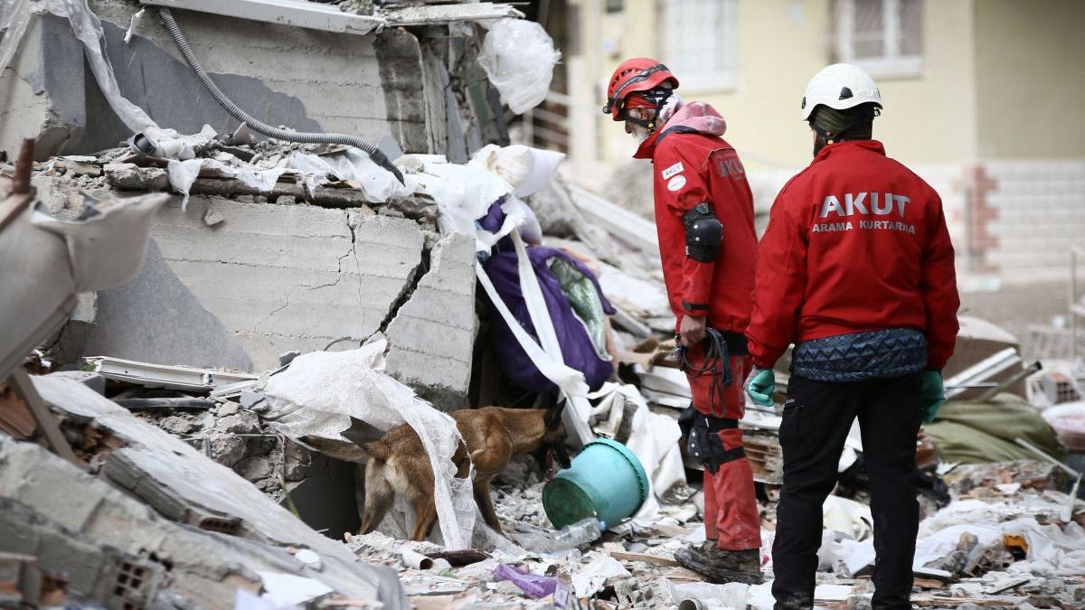 Aproape 50.000 de oameni au murit în Turcia și Siria în urma cutremurelor