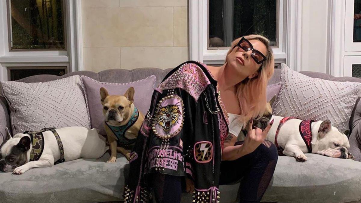 Femeia care a returnat câinii lui Lady Gaga o dă în judecată pe cântăreață pentru recompensă
