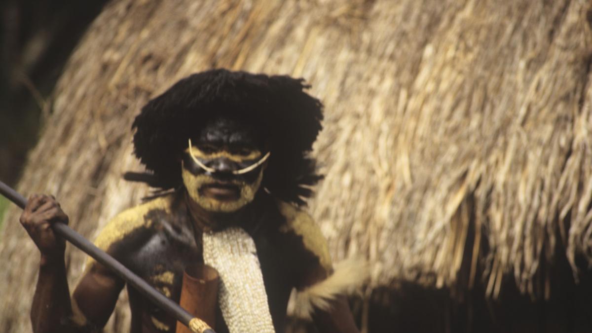 Trei cercetători, ținuți ostatici în Papua Noua Guinee, au fost eliberați