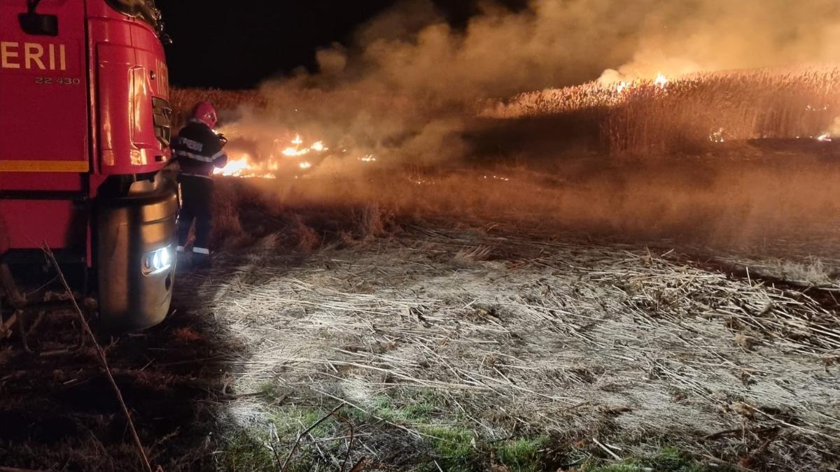 Incendiile de vegetație fac ravagii în Tulcea: Peste 110 hectare au ars într-o singură zi