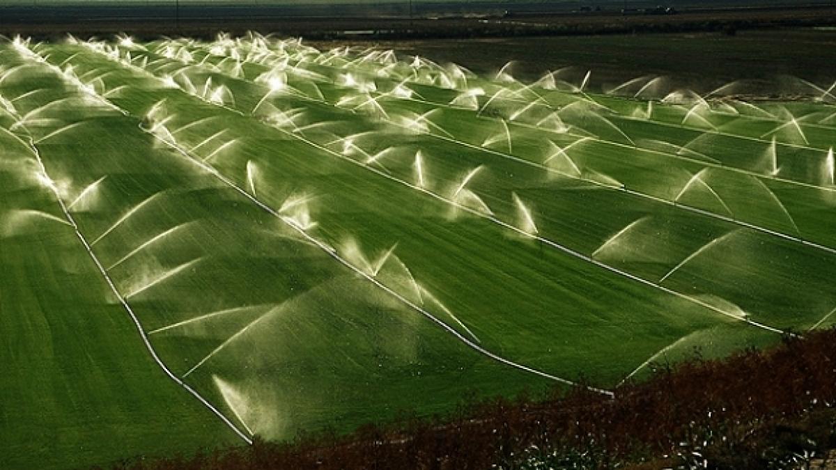 Ministerul Agriculturii: ANIF a început campania de irigat în județul Olt