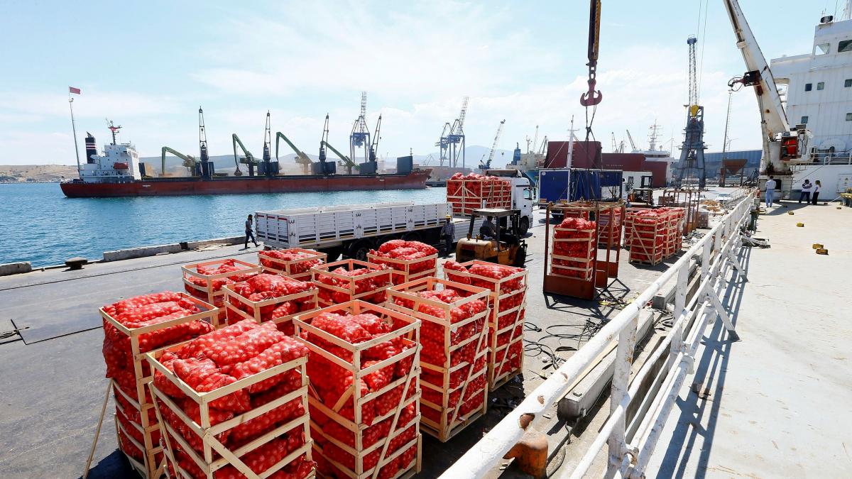 Lungul și durerosul drum al legumelor și fructelor până pe masa europeanului