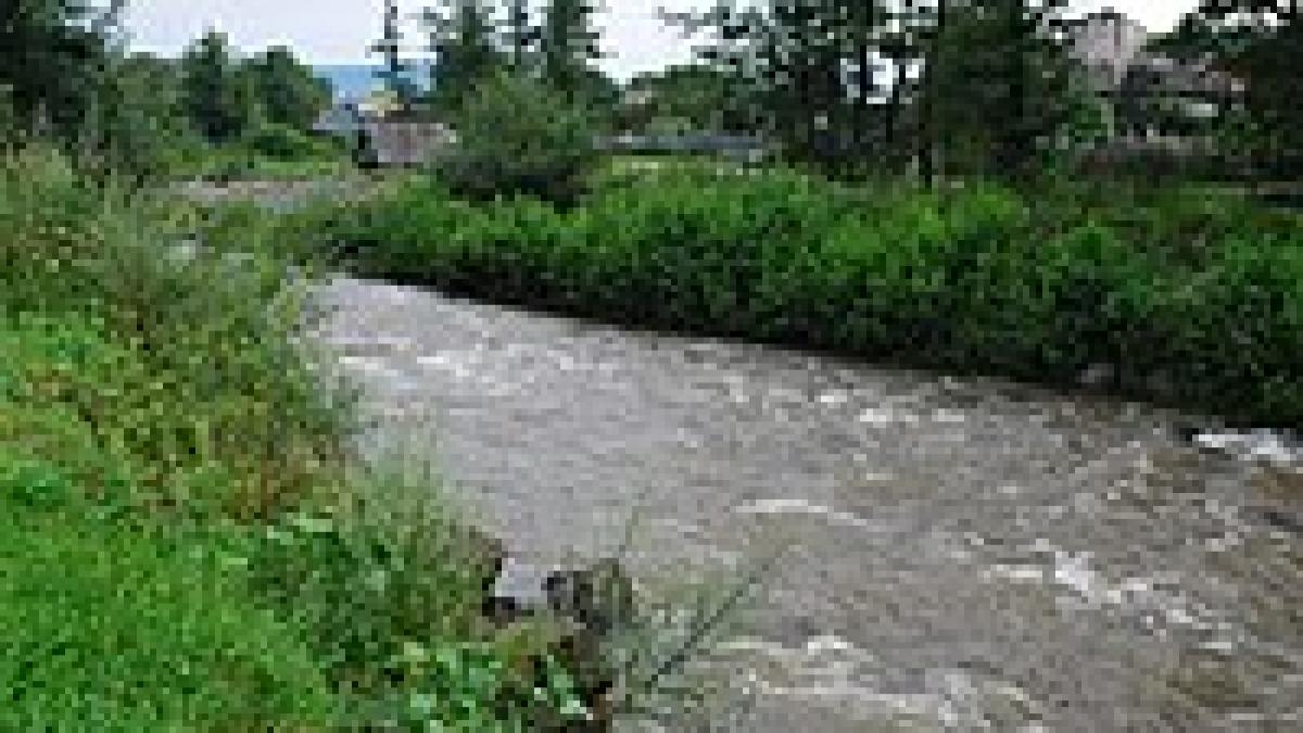 Tânăr din Ucraina, dispărut după ce a trecut înot râul Tisa, în zona localității Săpânța