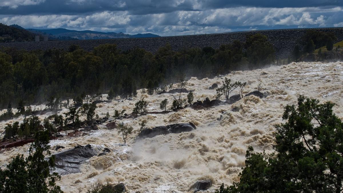 Campanie de curățenie în Australia, în locul în care au murit milioane de pești