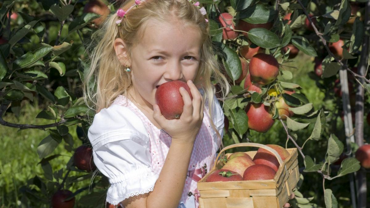 Ce facem cu stratul de ceară care acoperă merele. Ar trebui sau nu să o înlăturăm înainte de mânca aceste fructe delicioase?