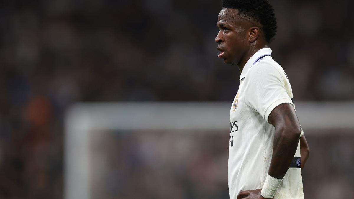 LaLiga cere ajutorul fanilor pentru a raporta cazurile de rasism după abuzul asupra lui Vinicius Jr