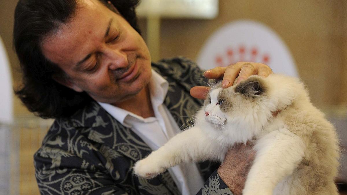SofistiCAT în weekend, la Sala Palatului