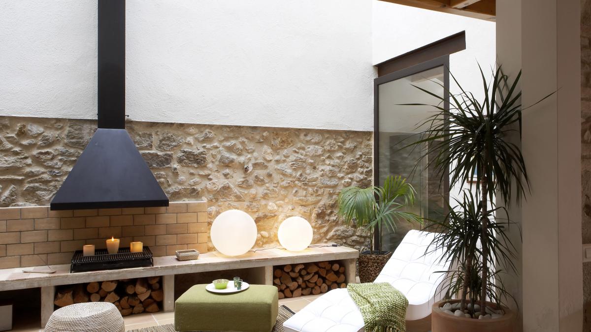 7 plante care pot supraviețui fără lumina naturală