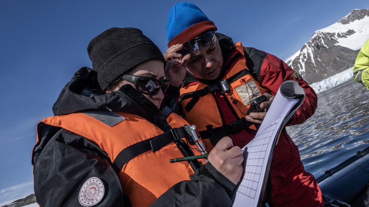 Gheața din Antarctica ar putea să se topească mult mai repede decât se estima
