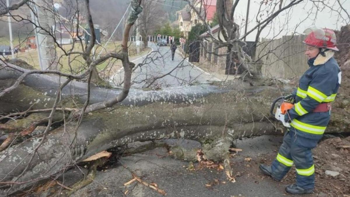 Transalpina blocată de o stâncă. Un copac a căzut pe drumul spre Masivul Parâng