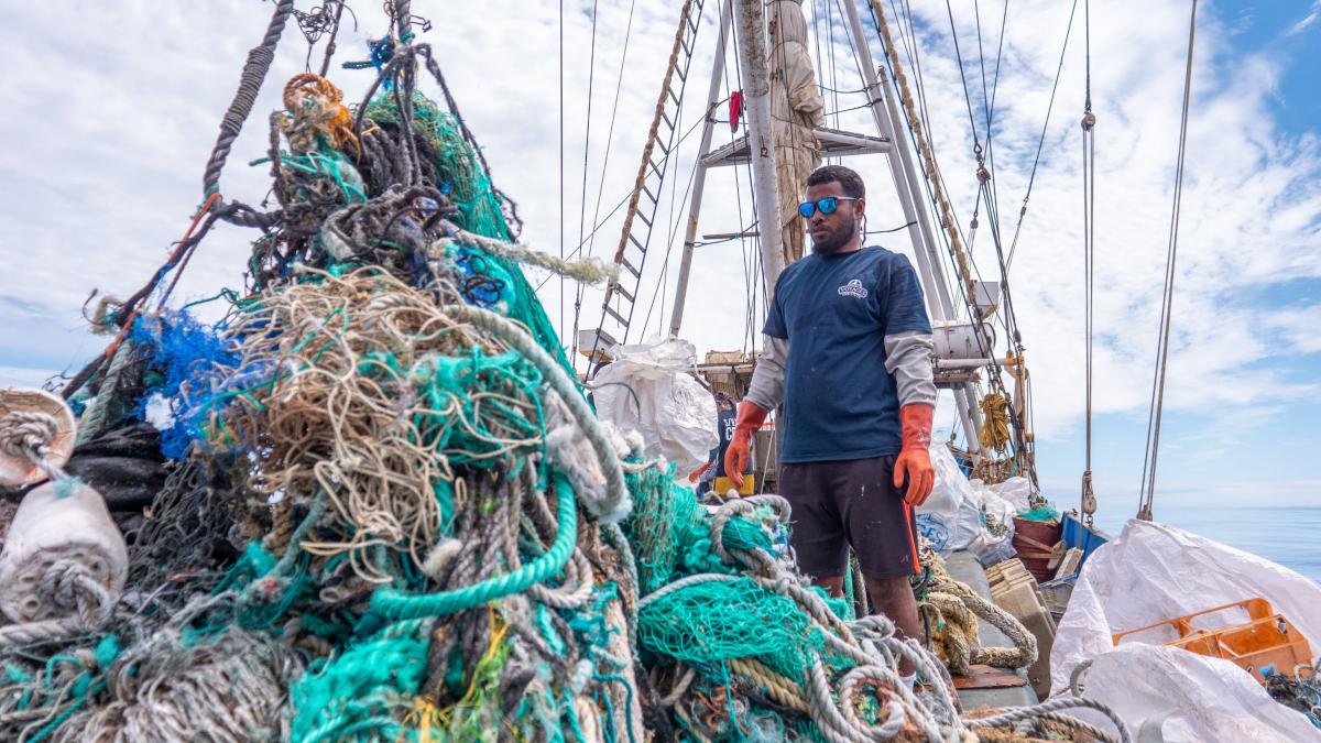 Marea insulă de gunoaie din Pacific crește. Pe insulă s-a format un ecosistem
