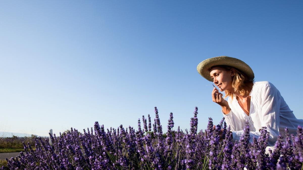 Cum să îngrijești lavanda pentru a ajunge la înflorire maximă
