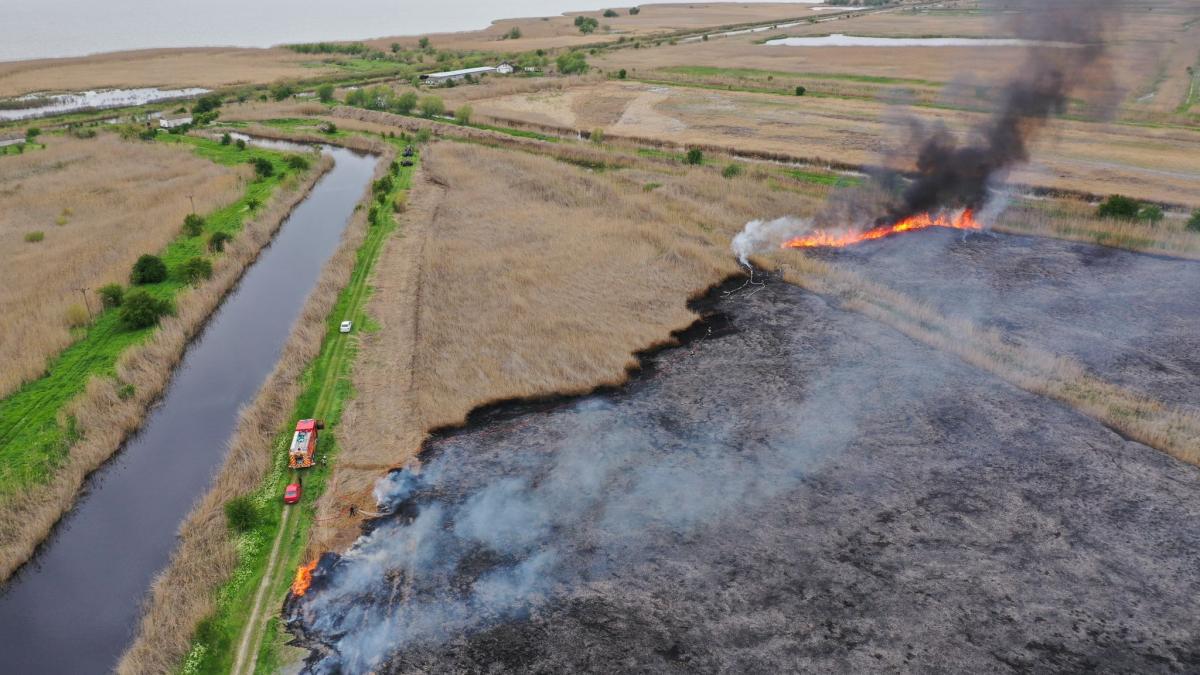 Incendiu de amploare la o fermă stuficolă din județul Tulcea