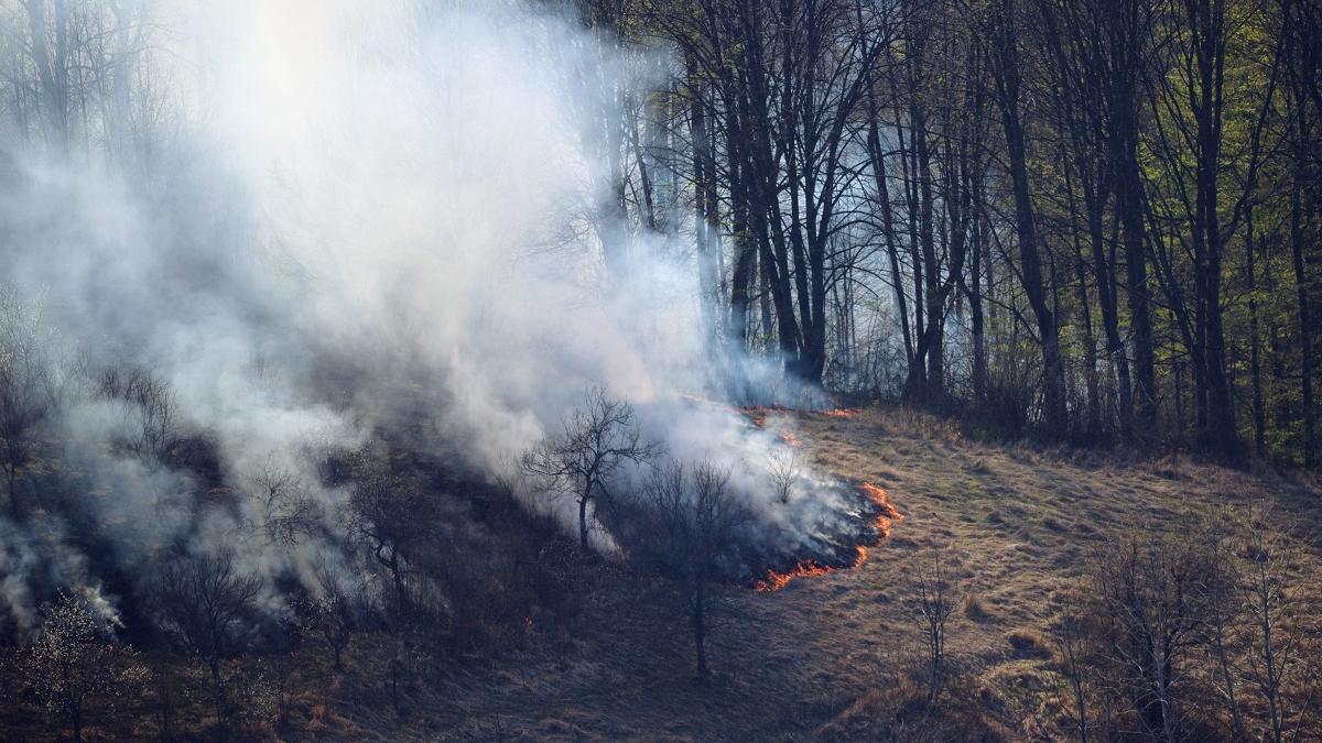 Alberta declară stare de urgență din cauza incendiilor de vegetație. Zeci de mii de oameni, evacuați