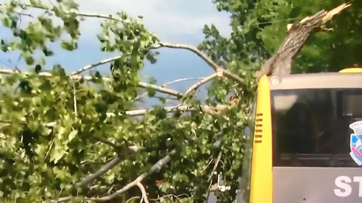 Vântul puternic provoacă pagube în Capitală. Un copac a căzut peste un autobuz STB