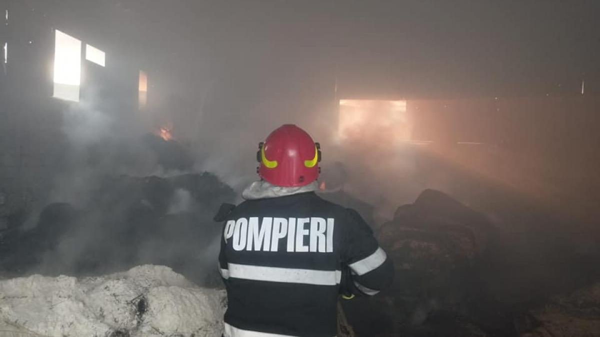 Incendiu uriaș la o fermă de păsări din Vaslui