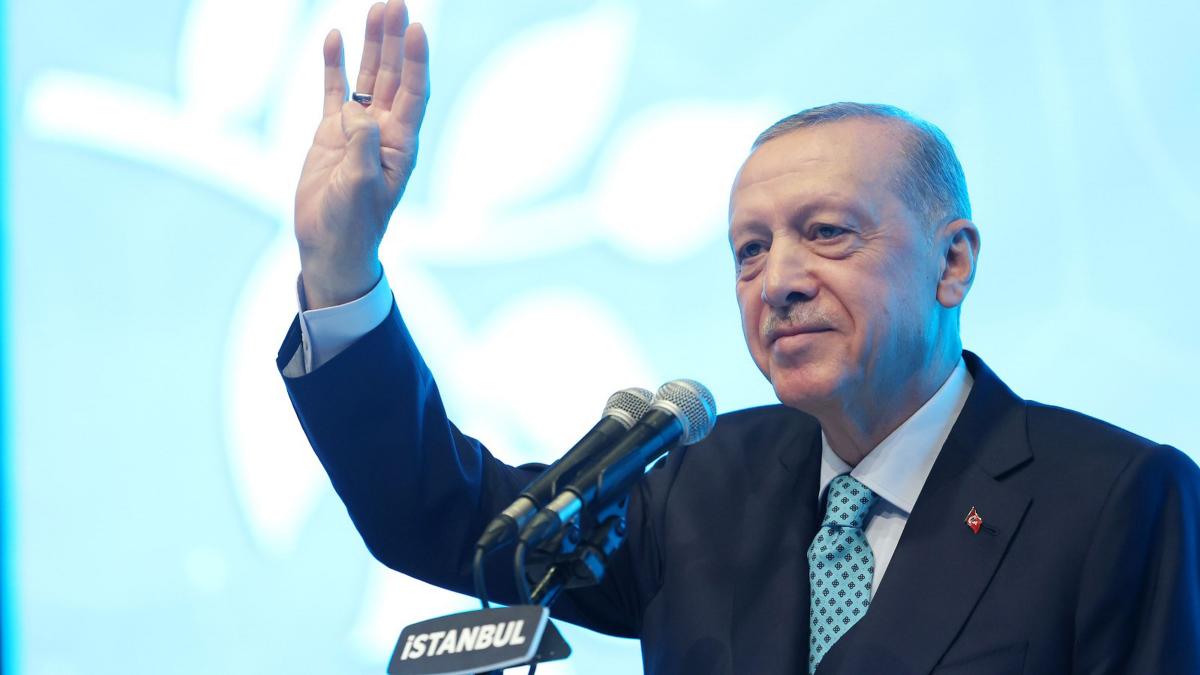 Update: Erdogan a câștigat alegerile prezidențiale din Turcia