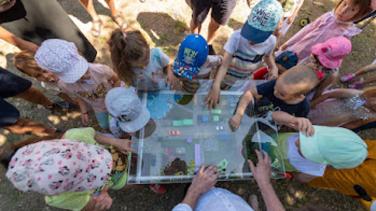 TIFF Education: filme, ateliere și super distracție pentru copii