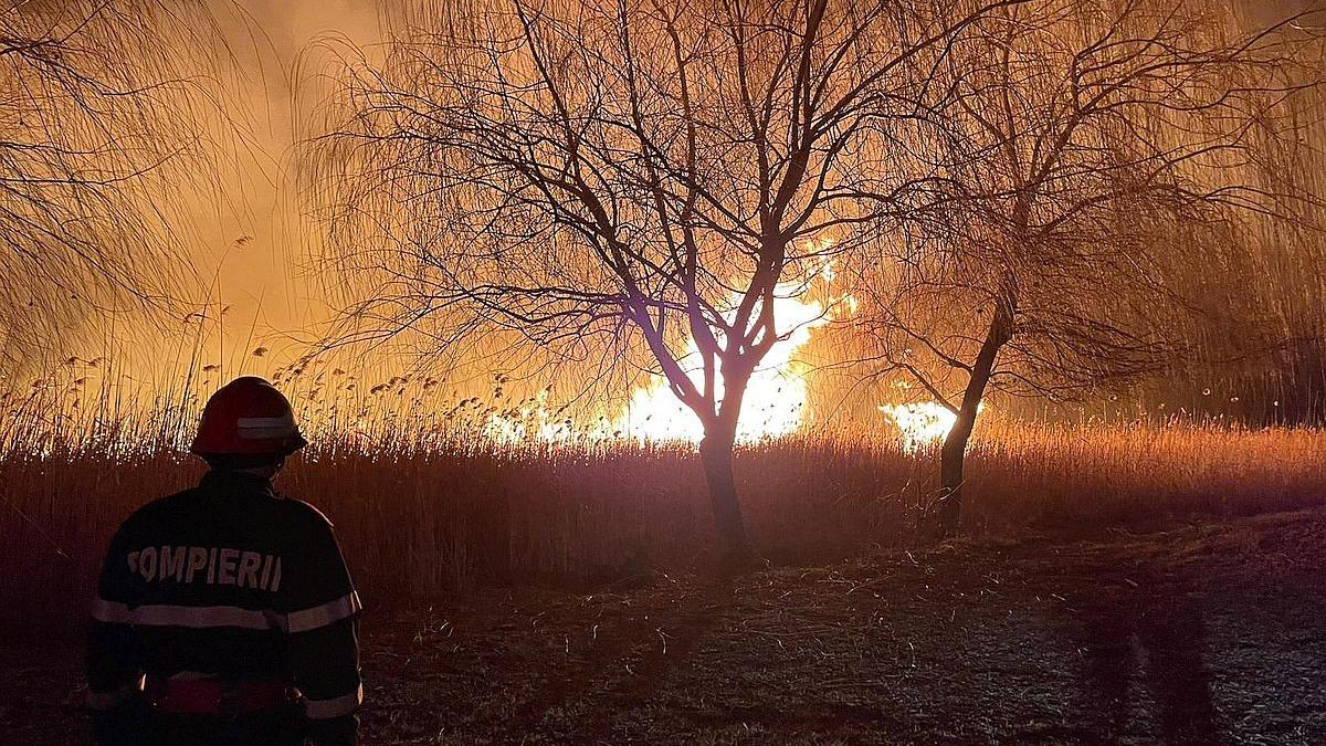 Stare de urgență, din cauza unui incendiu de vegetație în orașul Halifax 
